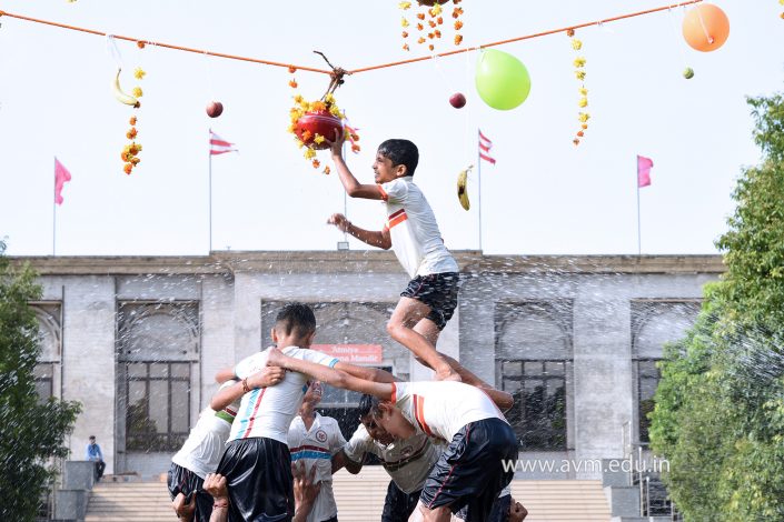 Janmashtami & Dahi Handi Celebrations 2018