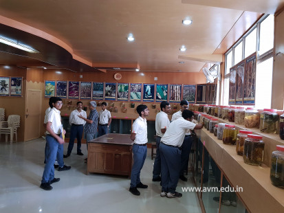 Std 11-12 Biology students' visit to Research Centres (27)