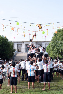 Janmashtami & Dahi Handi Celebrations 2018 (49)