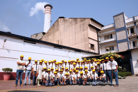 Std 8's visit to Bardoli Sugar Factory & Textile Mill (22)