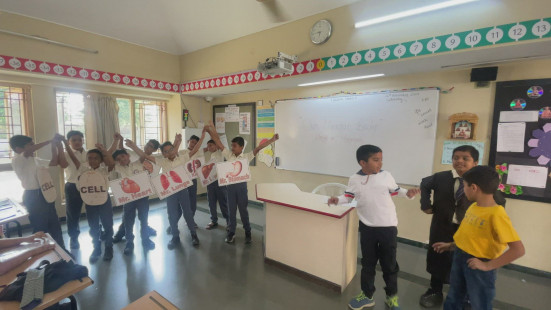 Std 3 Activity - Our Unique Body Works in Harmony(17)