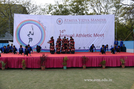 Opening Ceremony of the 14th Annual Athletic Meet (79)