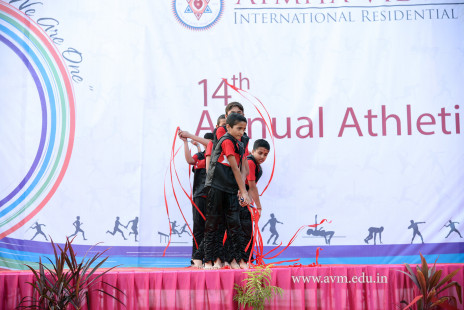 Opening Ceremony of the 14th Annual Athletic Meet (95)