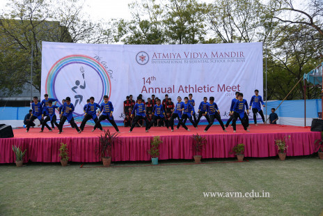 Opening Ceremony of the 14th Annual Athletic Meet (77)