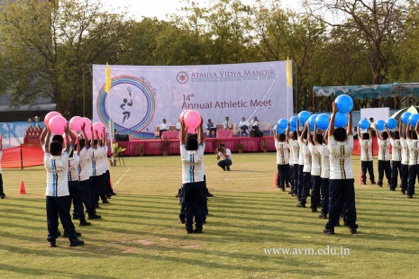 Opening Ceremony of the 14th Annual Athletic Meet (38)