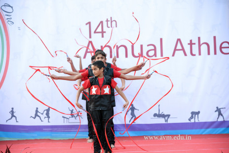 Opening Ceremony of the 14th Annual Athletic Meet (96)