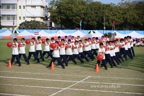 Opening Ceremony of the 14th Annual Athletic Meet (37)