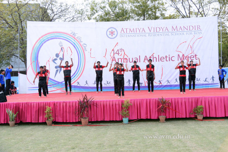 Opening Ceremony of the 14th Annual Athletic Meet (94)