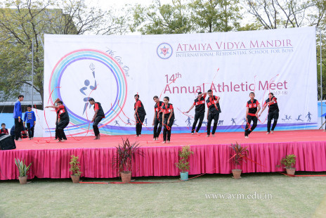 Opening Ceremony of the 14th Annual Athletic Meet (93)