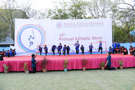 Opening Ceremony of the 14th Annual Athletic Meet (87)