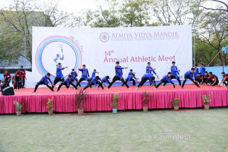 Opening Ceremony of the 14th Annual Athletic Meet (90)