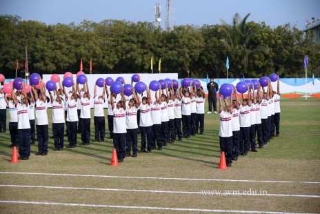 Opening Ceremony of the 14th Annual Athletic Meet (32)