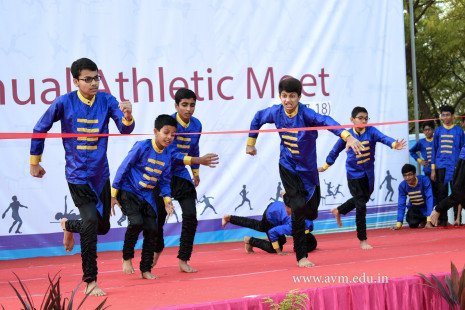 Opening Ceremony of the 14th Annual Athletic Meet (88)