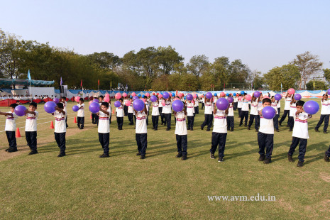 Opening Ceremony of the 14th Annual Athletic Meet (33)