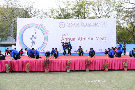 Opening Ceremony of the 14th Annual Athletic Meet (99)