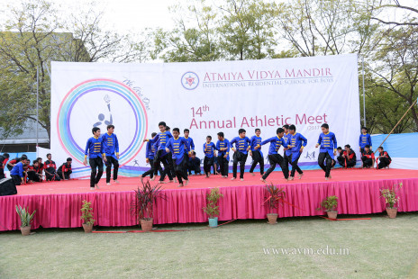 Opening Ceremony of the 14th Annual Athletic Meet (101)
