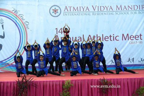 Opening Ceremony of the 14th Annual Athletic Meet (74)