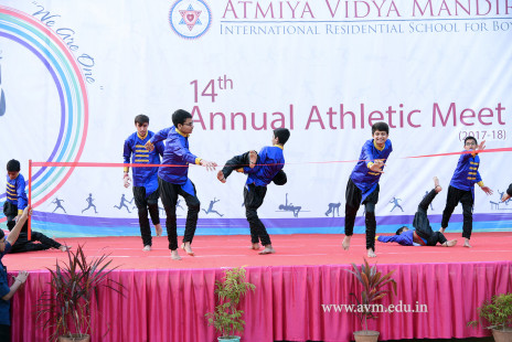 Opening Ceremony of the 14th Annual Athletic Meet (89)