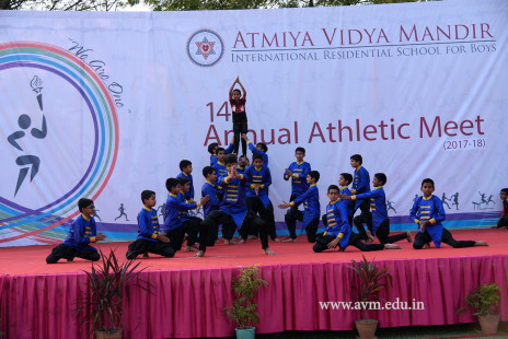 Opening Ceremony of the 14th Annual Athletic Meet (73)