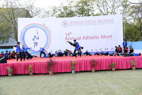 Opening Ceremony of the 14th Annual Athletic Meet (104)