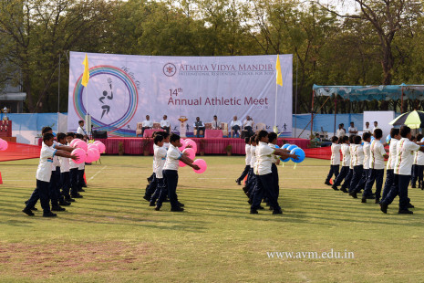Opening Ceremony of the 14th Annual Athletic Meet (29)