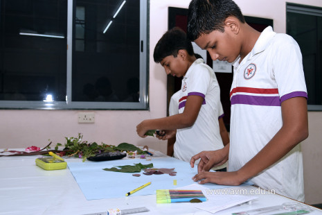 Naturalistic Intelligence Competition 2018-19 (46)