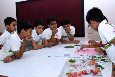 Naturalistic Intelligence Competition 2018-19 (50)