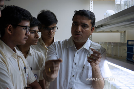 Std 11-12 Biology students - Visit to Research Centres (45)