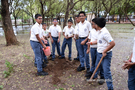 (CBSE SEWA) Tree Plantation in Celebration of Gandhi Jayanti by Class 5 (34)