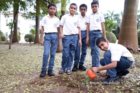 (CBSE SEWA) Tree Plantation in Celebration of Gandhi Jayanti by Class 5 (32)
