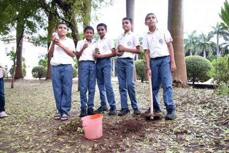 (CBSE SEWA) Tree Plantation in Celebration of Gandhi Jayanti by Class 5 (29)