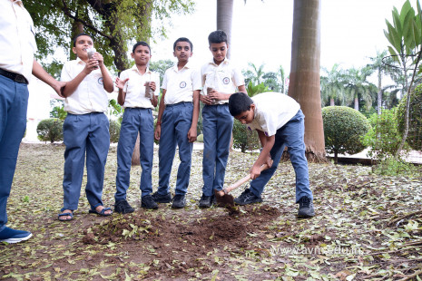 (CBSE SEWA) Tree Plantation in Celebration of Gandhi Jayanti by Class 5 (28)