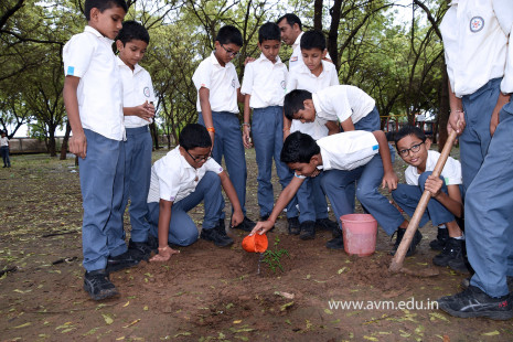(CBSE SEWA) Tree Plantation in Celebration of Gandhi Jayanti by Class 5 (23)