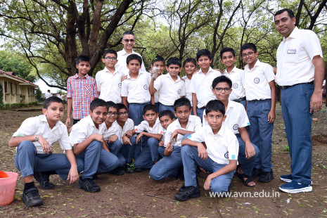 (CBSE SEWA) Tree Plantation in Celebration of Gandhi Jayanti by Class 5 (19)
