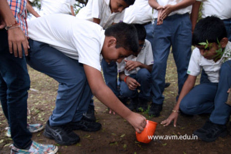 (CBSE SEWA) Tree Plantation in Celebration of Gandhi Jayanti by Class 5 (16)