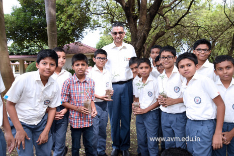 (CBSE SEWA) Tree Plantation in Celebration of Gandhi Jayanti by Class 5 (12)