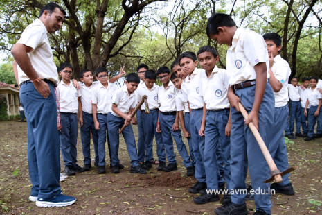 (CBSE SEWA) Tree Plantation in Celebration of Gandhi Jayanti by Class 5 (2)