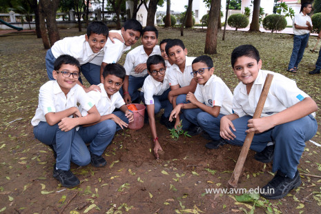 (CBSE SEWA) Tree Plantation in Celebration of Gandhi Jayanti by Class 5 (27)