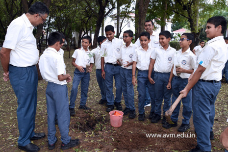 (CBSE SEWA) Tree Plantation in Celebration of Gandhi Jayanti by Class 5 (25)