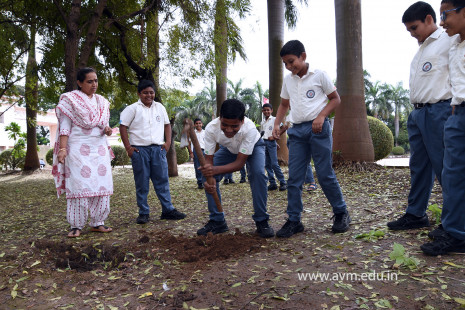 (CBSE SEWA) Tree Plantation in Celebration of Gandhi Jayanti by Class 5 (11)