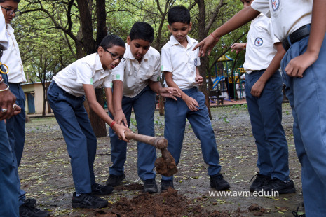 (CBSE SEWA) Tree Plantation in Celebration of Gandhi Jayanti by Class 5 (8)