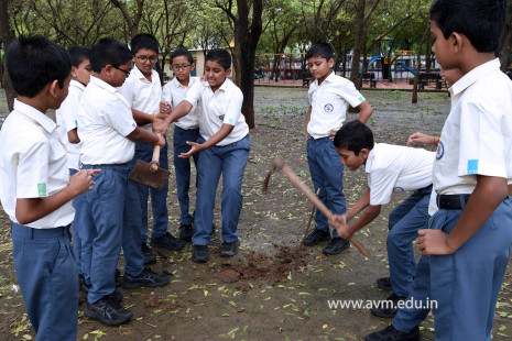 (CBSE SEWA) Tree Plantation in Celebration of Gandhi Jayanti by Class 5 (5)