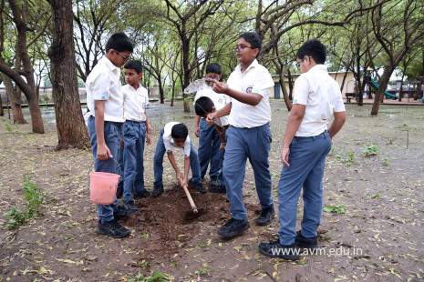(CBSE SEWA) Tree Plantation in Celebration of Gandhi Jayanti by Class 5 (35)