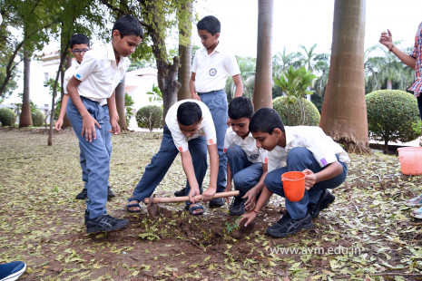 (CBSE SEWA) Tree Plantation in Celebration of Gandhi Jayanti by Class 5 (31)
