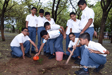 (CBSE SEWA) Tree Plantation in Celebration of Gandhi Jayanti by Class 5 (24)