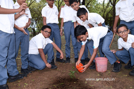 (CBSE SEWA) Tree Plantation in Celebration of Gandhi Jayanti by Class 5 (22)