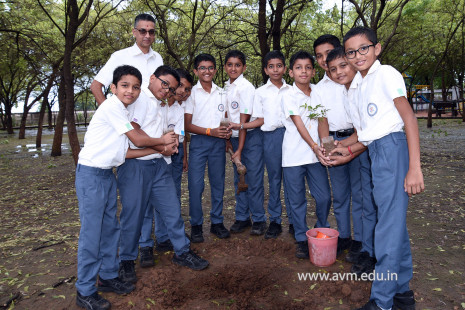 (CBSE SEWA) Tree Plantation in Celebration of Gandhi Jayanti by Class 5 (20)