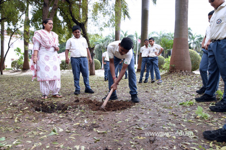 (CBSE SEWA) Tree Plantation in Celebration of Gandhi Jayanti by Class 5 (10)