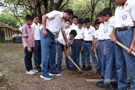(CBSE SEWA) Tree Plantation in Celebration of Gandhi Jayanti by Class 5 (4)