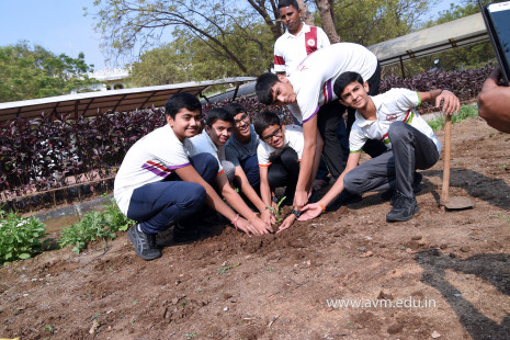 (CBSE SEWA) Tree Plantation by Class 7 Students (39)